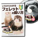 【先着限定サイン付き】【ゆうパケットOK（メール便）】いちからわかる フェレットの飼い方 DVD　フェレット 鼬 イタチ 飼育 飼い方 飼育本 DVD ビデオ 辞典 事典 お手入れ 健康管理 食事 耳掃除 爪切り シャンプー 病気 ケガ