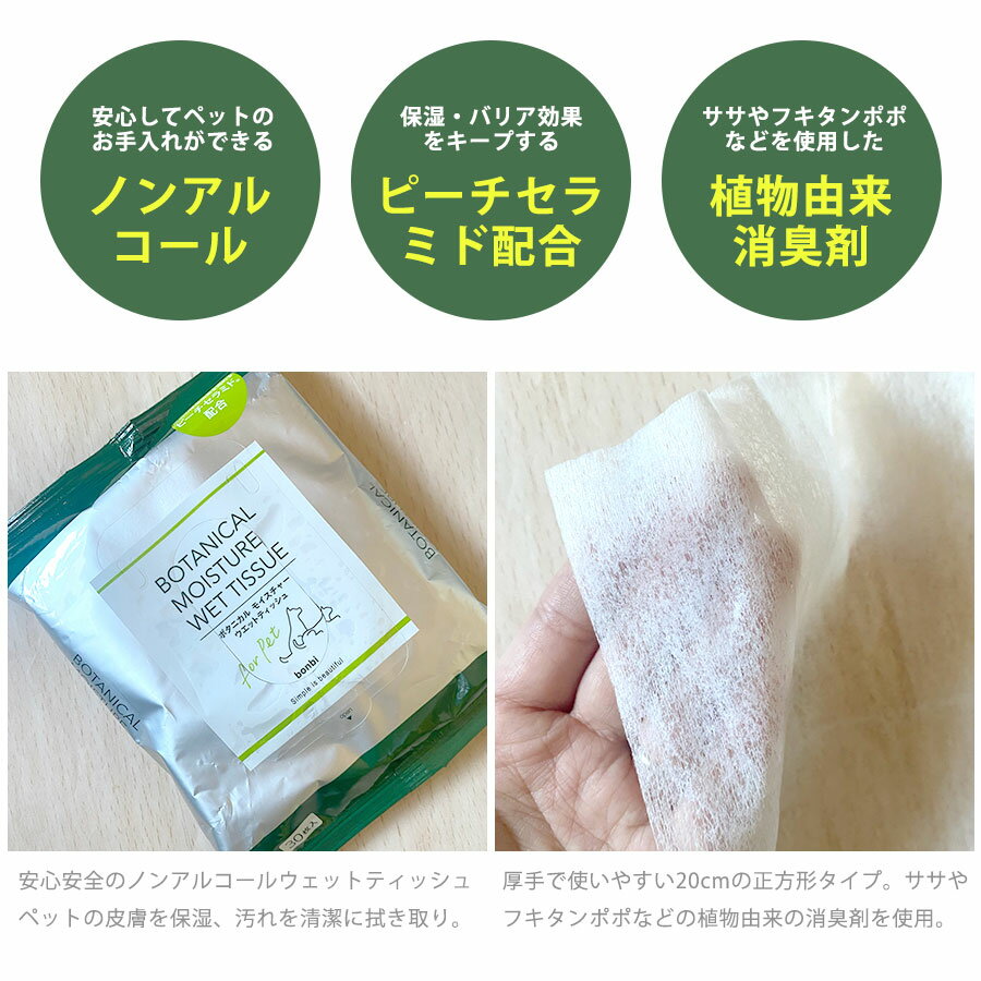 �ܥ�� �ܥ��˥��륱�����꡼�� �ܥ��˥��륦���åȥƥ��å��� �ڥΥ󥢥륳����ۡ��� �ɥå� �ե���å� ��ưʪ ǭ �ͤ� �ͥ� �ڥå� ���� �ܥǥ����� �������� ���� ������ �ȥ��� �ý� �ݼ�