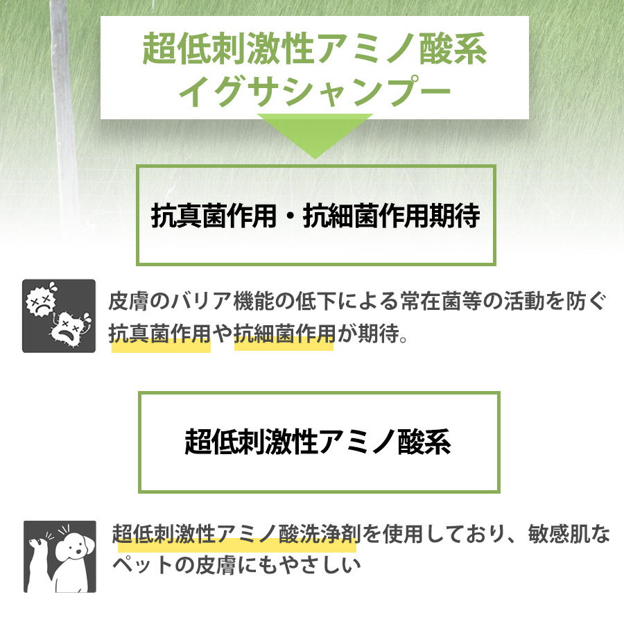 サンプル画像2