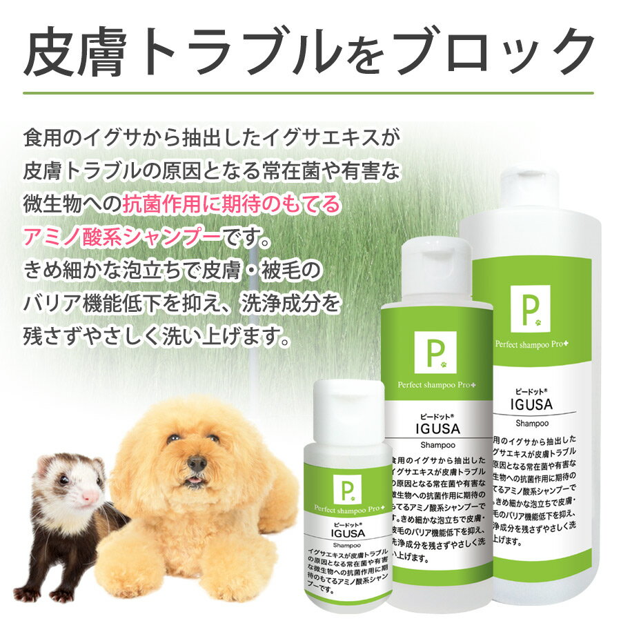 サンプル画像3