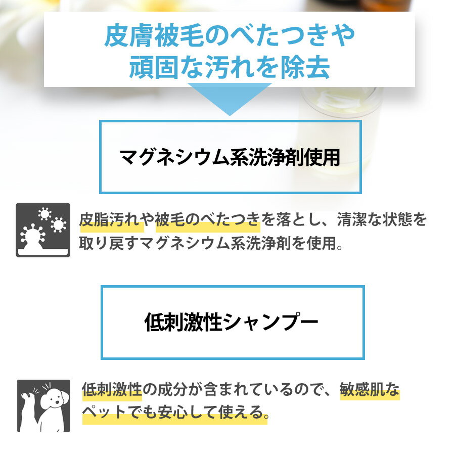 P. ピードット オイルコントロール ベーシッ...の紹介画像2