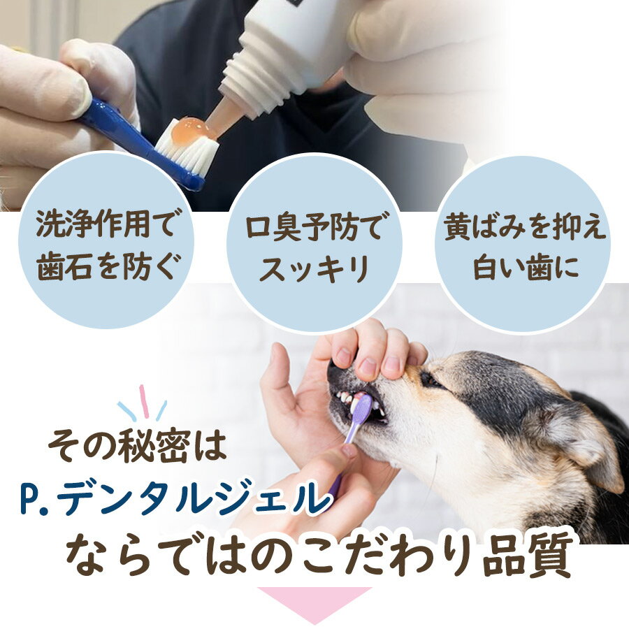 P. ピードット パーフェクト デンタルジェル 35ml【デンタル】【ノンアルコール】犬 ドッグ フェレット 猫 小動物 メディカルトリマー お手入れ 口臭 歯肉 歯周病 ジェルタイプ 甘い デンタルケア 皮膚 被毛 肌トラブル 痒み 口腔内 3
