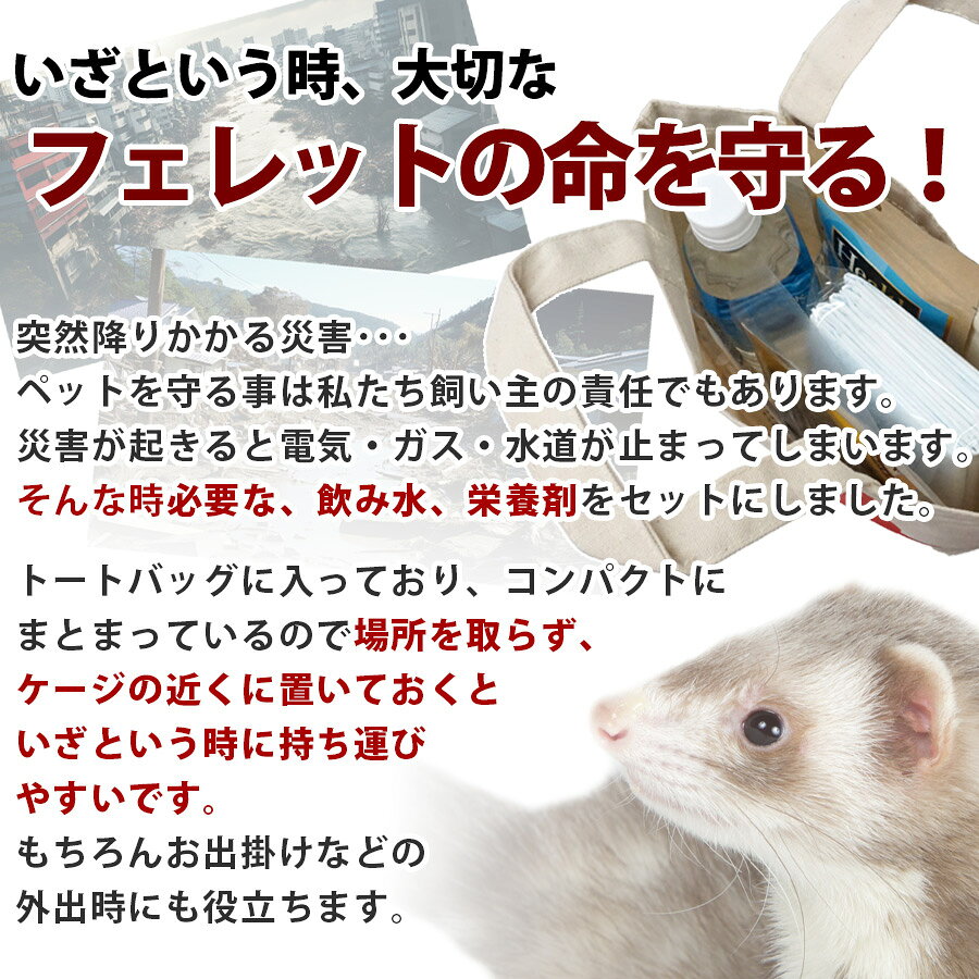 【セット商品】フェレット防災セット トート付き【フェレットワールドオリジナル】【お買い得】フェレット 緊急 防災 震災 お出かけ フード 栄養剤 水 飲料水 トートバッグ みんなの水 ヘルスチャージF ヘルスチャージS シリンジ ウォータープロ トイレシーツ グッズ petpet-10005794 フェレットワールド 楽天市場店 サンプル画像3