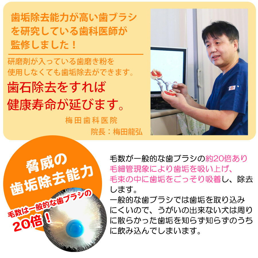 サンプル画像3
