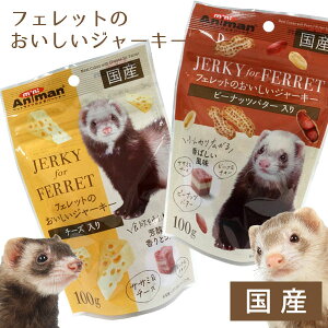 フェレット ドギーマン フェレットのおいしいジャーキー100g【国産】フェレット おやつ フード フェレットフード ササミ ビーフ チキン チーズ ピーナッツバター ソフトタイプ