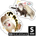 オリジナルフェレットステッカー 写真シリーズ〜デコフェレ2 Sサイズフェレット イタチ 鼬 ステッカー シール UV加工 防水 デコレーション イラスト キャラ...