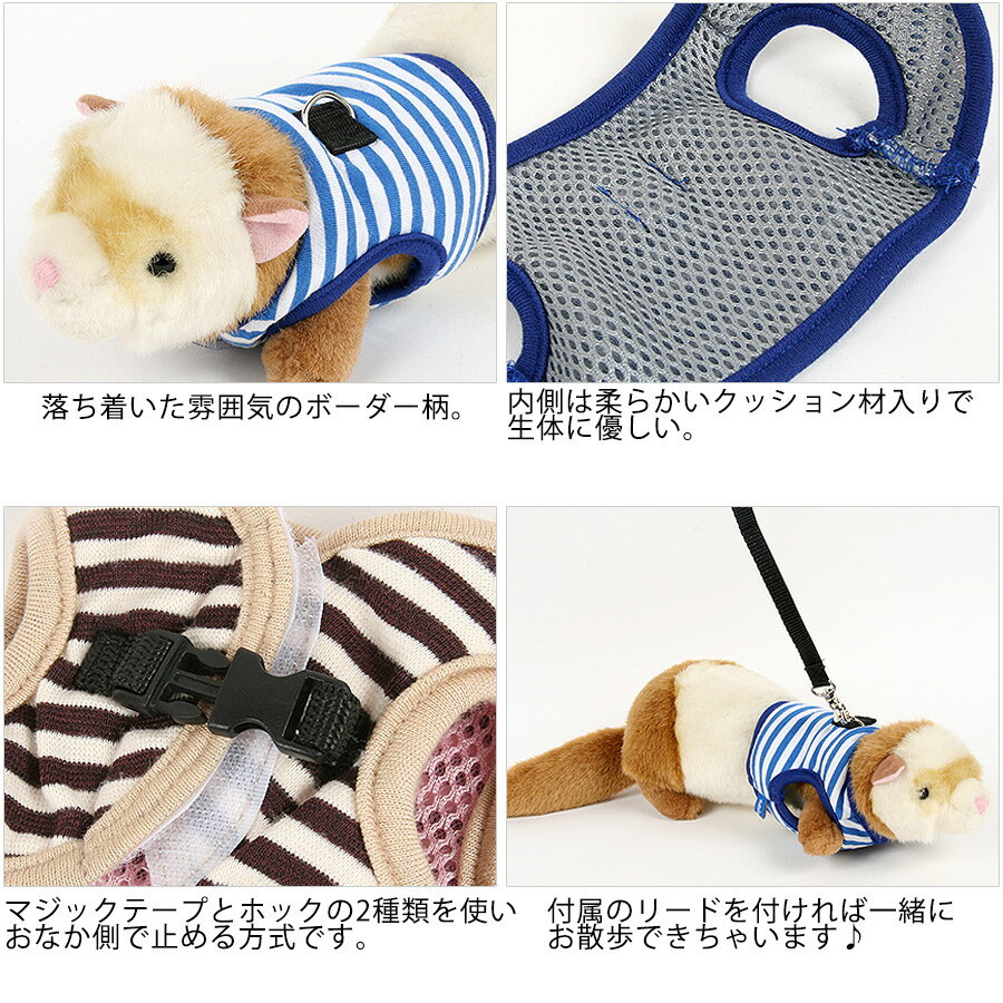 【RB】ferretランランハーネス　ボーダー（F2）【ウェア】【洋服】【ハーネス】　フェレット 服 洋服 ウェア ハーネス 散歩 おでかけ 2