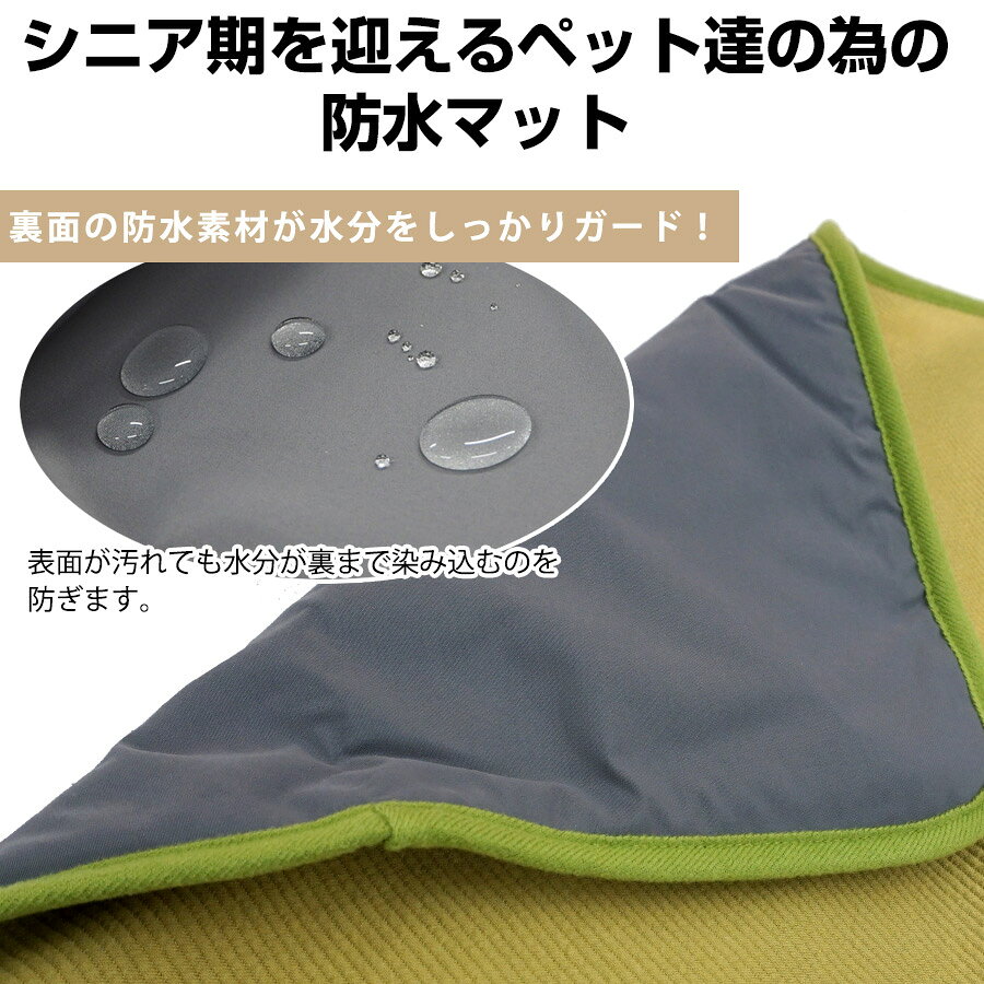 サンプル画像2