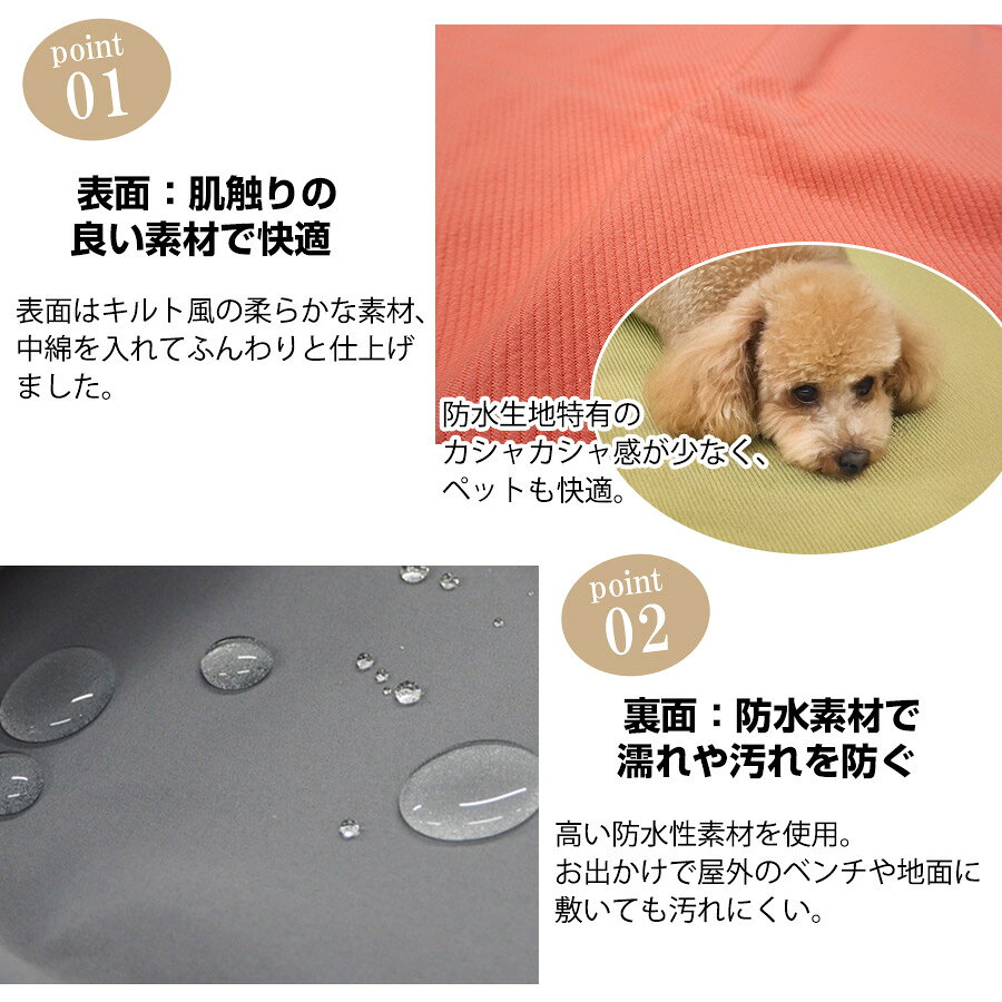 サンプル画像3