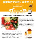 【大容量】ピュアーヌ　ペットde酵素500ml（保存料・着色料不使用）　フェレット サプリメント 健康維持 栄養補助食 体調管理 2