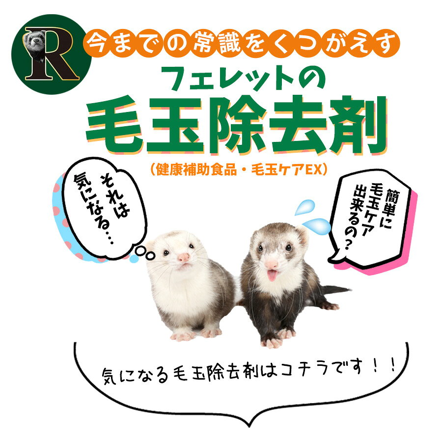 フェレット ヘルスチャージ-R 毛玉ケアEX お試し（2.5g×5本入り）（フェレット用健康補助食品バイト）【国産】【無添加】フェレット バイト サプリメント 毛玉除去 毛玉取り お手入れ セルロース 健康補助 バイト 毛玉サポート【メール便可】 petpet-10008336 フェレットワールド 楽天市場店 サンプル画像2