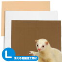 【PP】洗えるペットシーツ 制菌ECOシーツプレミアム2 Lサイズ(5816)犬 ドッグ ペット フェレット トイレシート シーツ 動物 病院 シーツ エコ 洗...