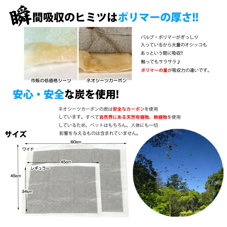 �ڤ���ۥͥ������ĥ����ܥ�DX�쥮��顼��3������ˡڥȥ��쥷���ġۡڥڥåȥ����ġۥե���å� �ڥå� �ȥ��쥷���� �ڥåȥ����� ������ �ȥ��� �������� �ý� ���� ����ѥ���