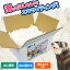 フェレット プレインスターチ【おもちゃ】【水に溶ける】 フェレット 猫 ネコ ブレインスターチ おもちゃ TOY ストレス発散 デンプン ECO エコ 安心 安全 カワウソ 動画 1,210円