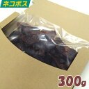 犬 おやつ 国産 お徳用砂肝ソフト300g いぬのおやつ すなぎも 犬 ドッグフード 手作り ソフト 軟らかい ジャーキー 鶏肉