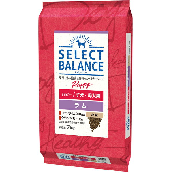Domestic - 【取寄せ】セレクトバランスパピー ラム 小粒 子犬・母犬用 7kg