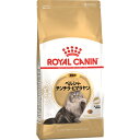 ロイヤルカナン フィーライン ブリード ニュートリション ペルシャ・チンチラ・ヒマラヤン 成猫用 2kg〔2503078cd〕