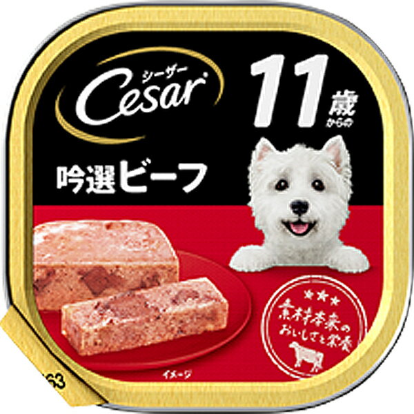 シーザートレイ 11歳からの 吟選ビーフ ふわふわローフタイプ 100g×24コ〔23060624dw〕のサムネイル