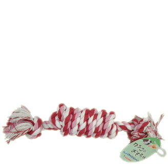 JOYSele �ǥ󥿥�ȡ��� �����ǥ� ��å� L