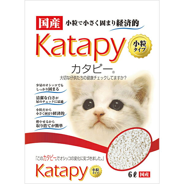 �����ԡ� ��γ������ 6L