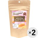 【セット販売】Magyutto！ フリーズドライ ナチュラルチェダーチーズ 35g×2コ