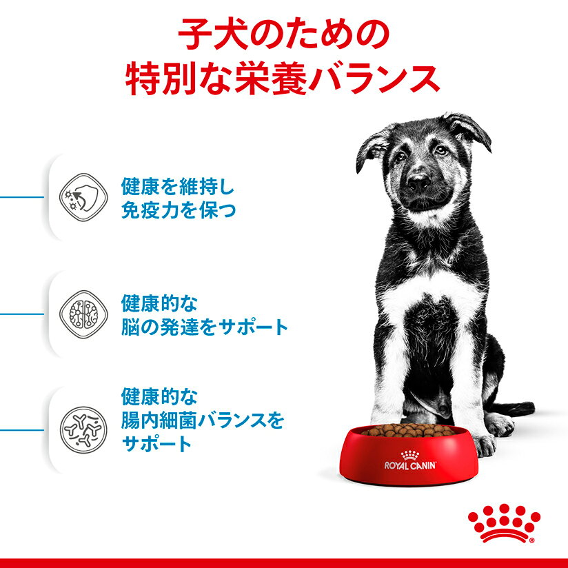 【送料無料】ロイヤルカナン サイズ ヘルス ニュートリション マキシ パピー 10kg...