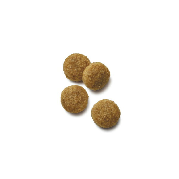 ペットの専門店コジマ楽天市場店の懐石 健美 1歳から 成犬用 チキン味 2kg（500g×4袋）｜アングル2