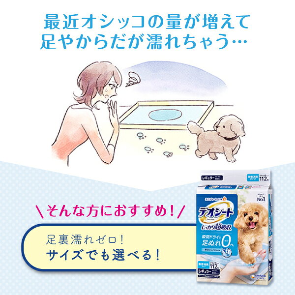 デオシートしっかり超吸収無香消臭タイプ スーパーワイド 23枚〔26052113dt〕