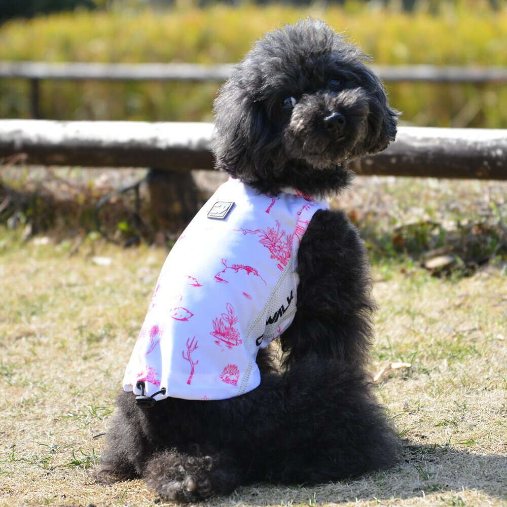 サンシェードタンクトップ犬 いぬ イヌ DOG 服 アウトドア