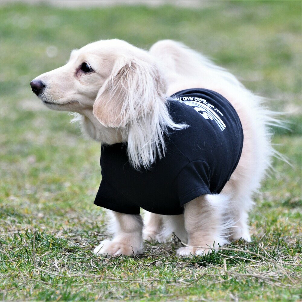 【GEWALK　ジウォーク】グラフィックTシャツロゴ【DM　ダックス専用】犬 いぬ イヌ DOG 服 アウトドア