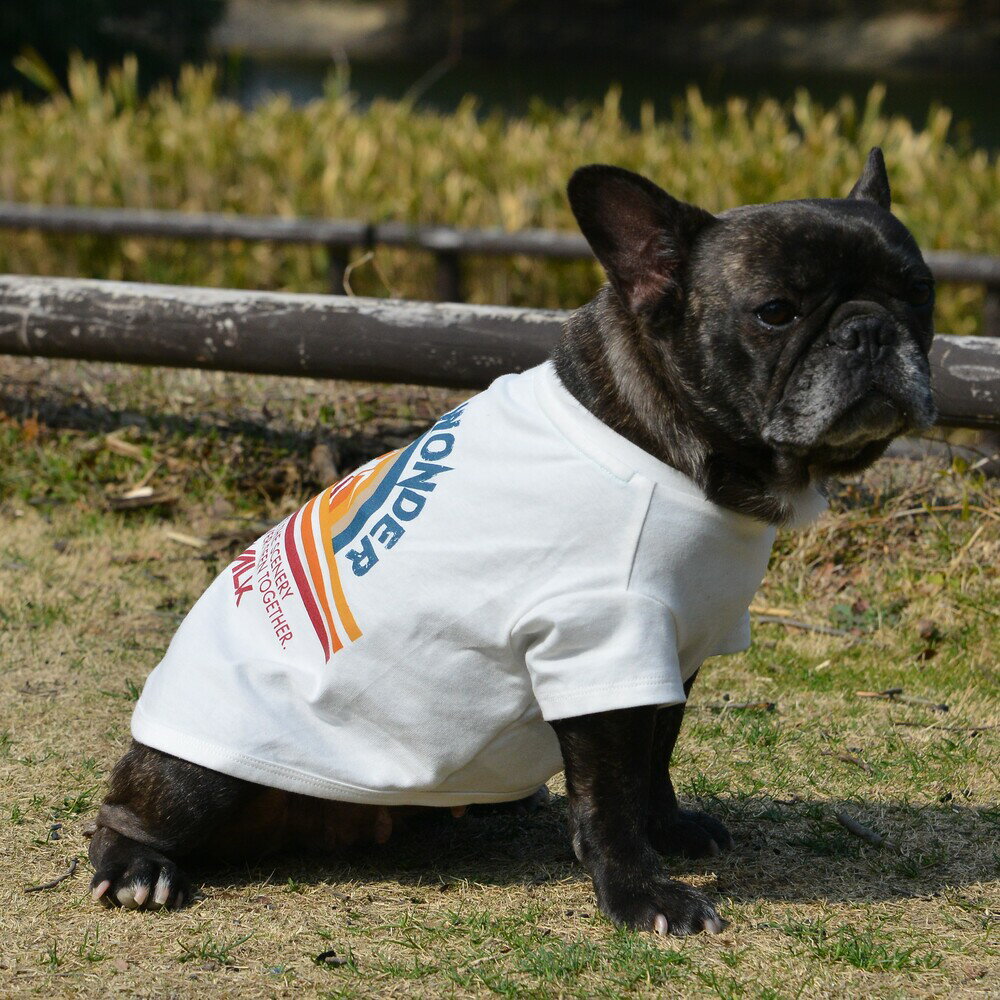 【GEWALK　ジウォーク】グラフィックTシャツロゴ【BM ブルドック専用】犬 いぬ イヌ DOG 服 アウトドア