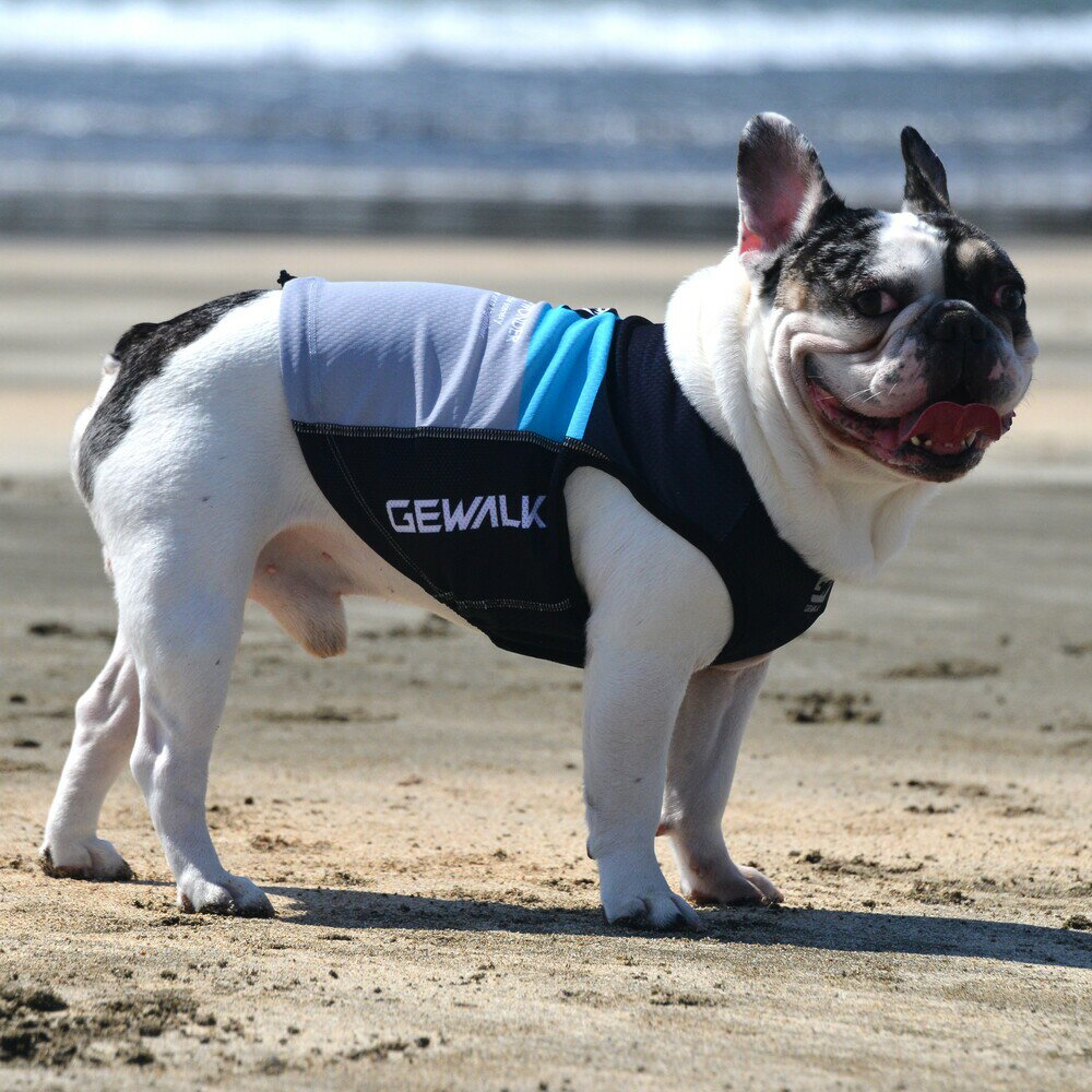 【GEWALK　ジウォーク】LGE526 トリコロールプリント アクティブ　クーリング　タンクトップ【BL　 ブルドッグ専用】犬 いぬ イヌ DOG 服 アウトドア