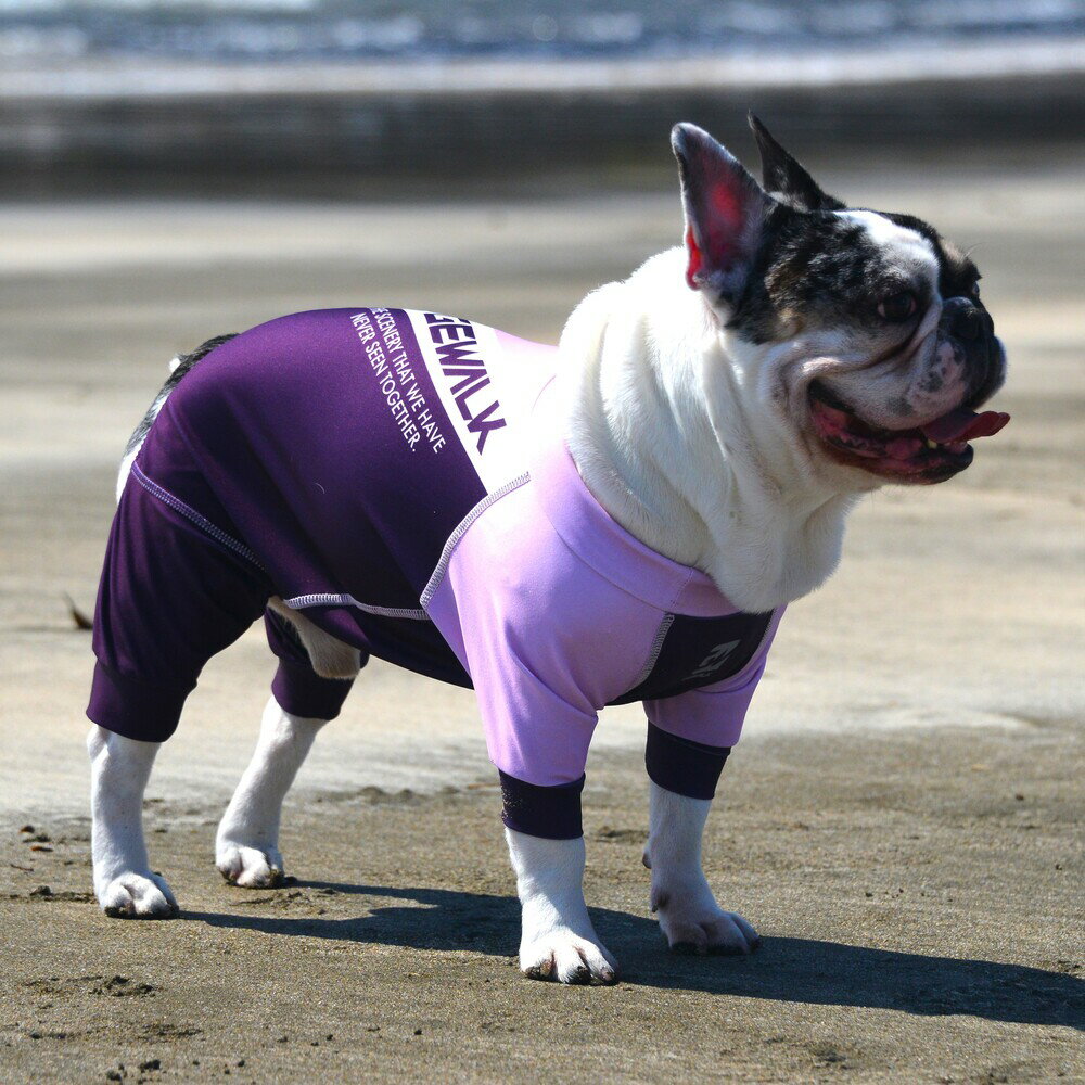 【GEWALK　ジウォーク】 LGE532 トリコロールプリント プロテクト　ストレッチ　ロンパース 　ラッシュガード　犬 いぬ イヌ DOG 服 アウトドア【BS BM　ブルドック専用サイズ】