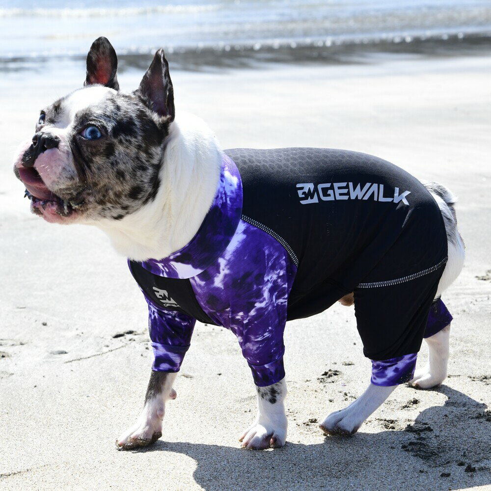 【GEWALK　ジウォーク】LGE533 タイダイプリント マイナス　フリージング　ロンパース　ラッシュガード　犬 いぬ イヌ DOG 服 アウトドア【BL　ブルドック専用サイズ】