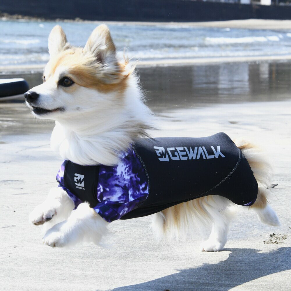 【GEWALK　ジウォーク】LGE533 タイダイプリント マイナス　フリージング　ロンパース　ラッシュガード　犬 いぬ イヌ DOG 服 アウトドア【CGL　コーギー専用サイズ】