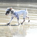 【GEWALK ジウォーク】小型犬サイズ LGE534 ネイティブプリント マイナス フリージング ロンパース【XS S 2S M 2M 3M】ラッシュガード犬服 ペット服 夏服 ドッグウェア アウトドア 水遊び マリンスポーツ ウォータースポーツ サップ ドックサップ