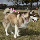 【GEWALK ジウォーク】GW コンフォタブルカラー エコ【2.5号 3号 3.5号 4号 4.5号 5号】LGE103 首輪 カラー