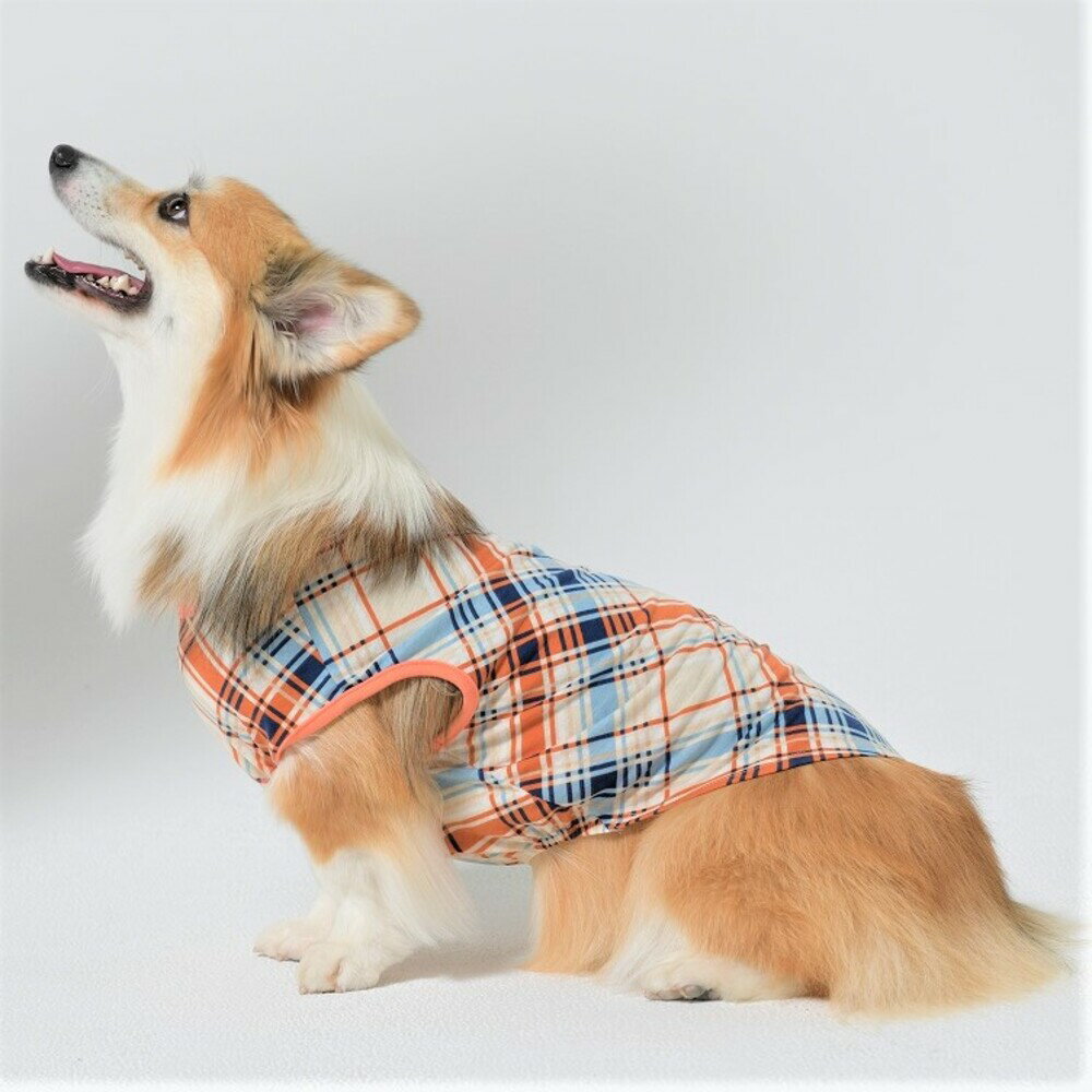  バイアスチェックノースリーブ犬 服 犬服 ドッグウェア　可愛い