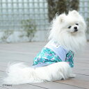 【SALE】【Disney ディズニー】 ハイゲージサンシェードシャツ 犬 服 犬服 ドッグウェア