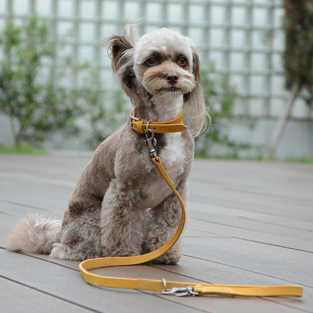 【Da Vinci ダヴィンチ】ペッレイングラッサカロラータリーシュ110【S M】 犬 いぬ イヌ DOG 首輪 ハーネス リード リーシュ