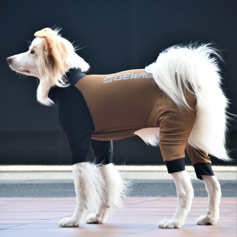 【GEWALK ジウォーク】光電子 ロンパース ラッシュガード【XL】犬 いぬ イヌ DOG 服 アウトドア 防寒 中型犬