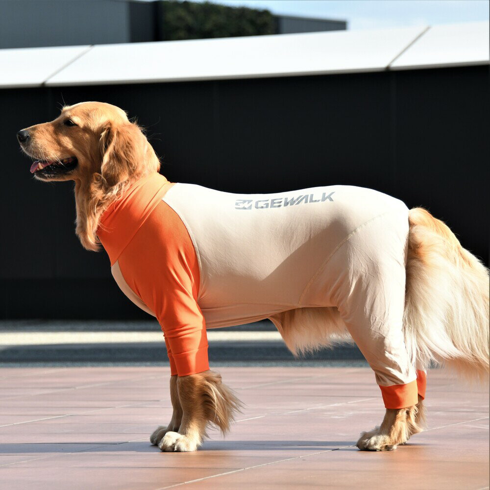 【GEWALK ジウォーク】光電子 ロンパース ラッシュガード 【XXL】犬 いぬ イヌ DOG 服 アウトドア 防寒 中型犬