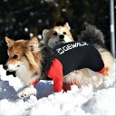 【GEWALK ジウォーク】光電子 ロンパース ラッシュガード 【CG コーギーサイズ】犬 いぬ イヌ DOG 服 アウトドア 防寒