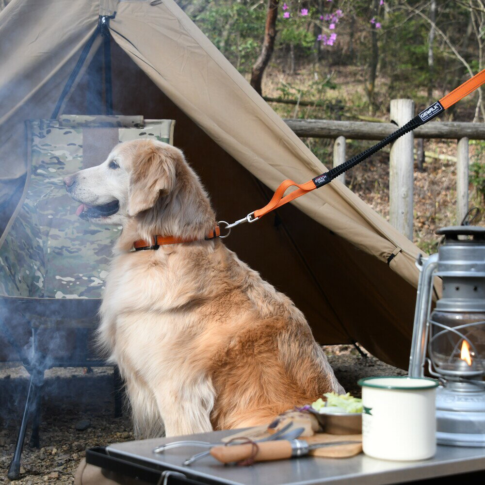 PETSREPUBLICեȥ꡼ȥ㤨֡GEWALKۥȥ꡼ॳեȥ顼S M L    DOG  ϡͥ ꡼ ꡼פβǤʤ2,420ߤˤʤޤ