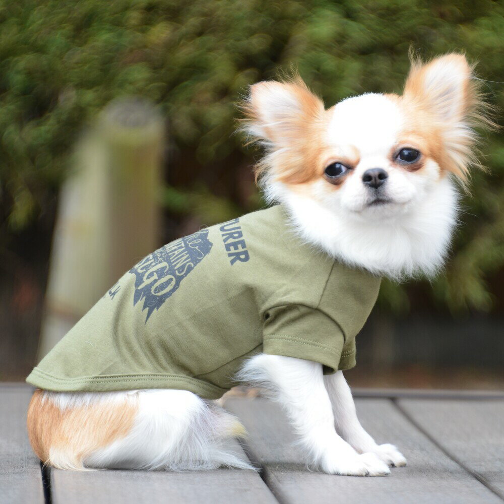 【GEWALK　ジウォーク】コットングラフィックスTシャツ　アドベンチャー【XS　S　M】　犬 いぬ イヌ DOG 服 アウトドア