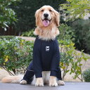 【GEWALK　ジウォーク】マイナス　フリージング　ロンパース【XXL】　犬 いぬ イヌ DOG 服 アウトドア