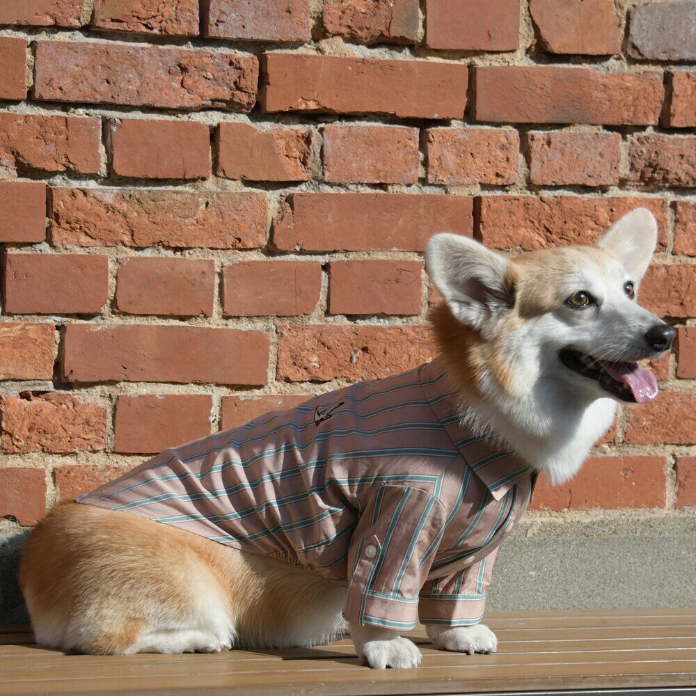  ストライプ開襟シャツ 犬 服 犬服 ドッグウェア