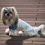 【MANHATTAN WALKY TIME!】 オーガニックコットンラグランTシャツ【L】 犬 服 犬服 ドッグウェア