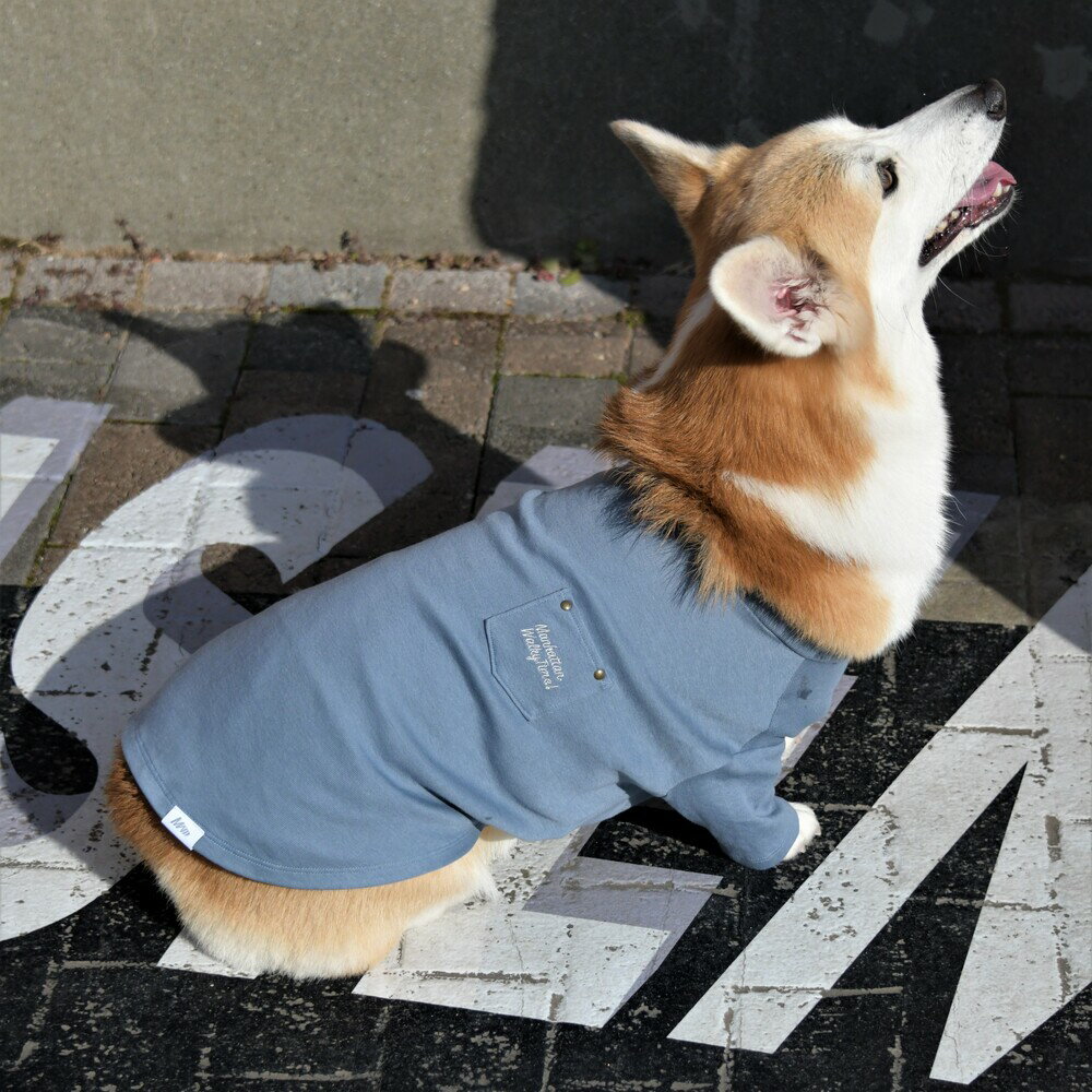 【MANHATTAN WALKY TIME!】 デニムTシャツ【L】 犬 服 犬服 ドッグウェア