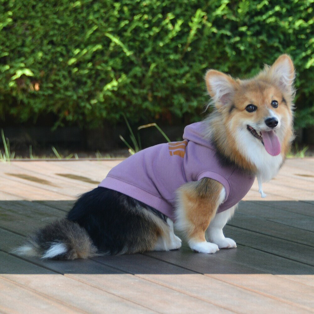 乐天商城 - 【MANHATTAN WALKY TIME!】ベーシックフーディー【L】犬 服 犬服 ドッグウェア